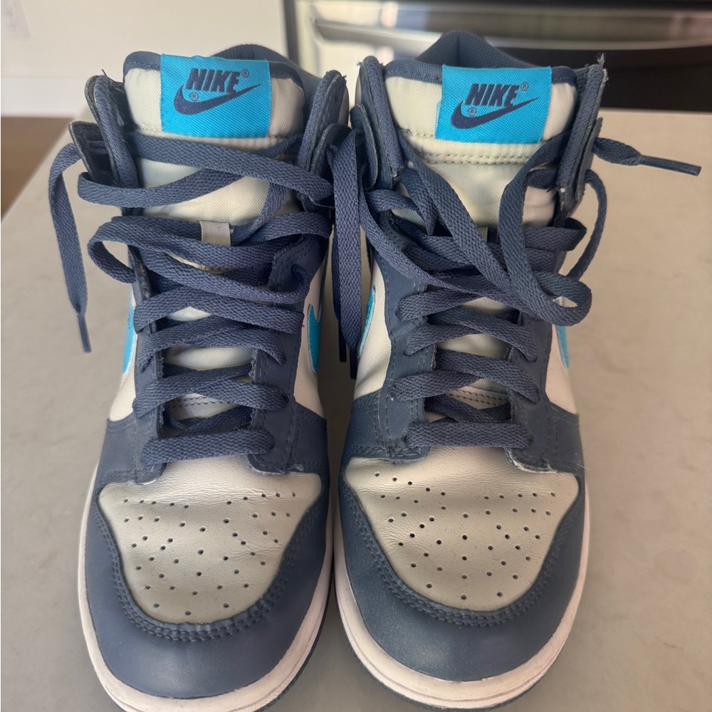 Nike Dunk High